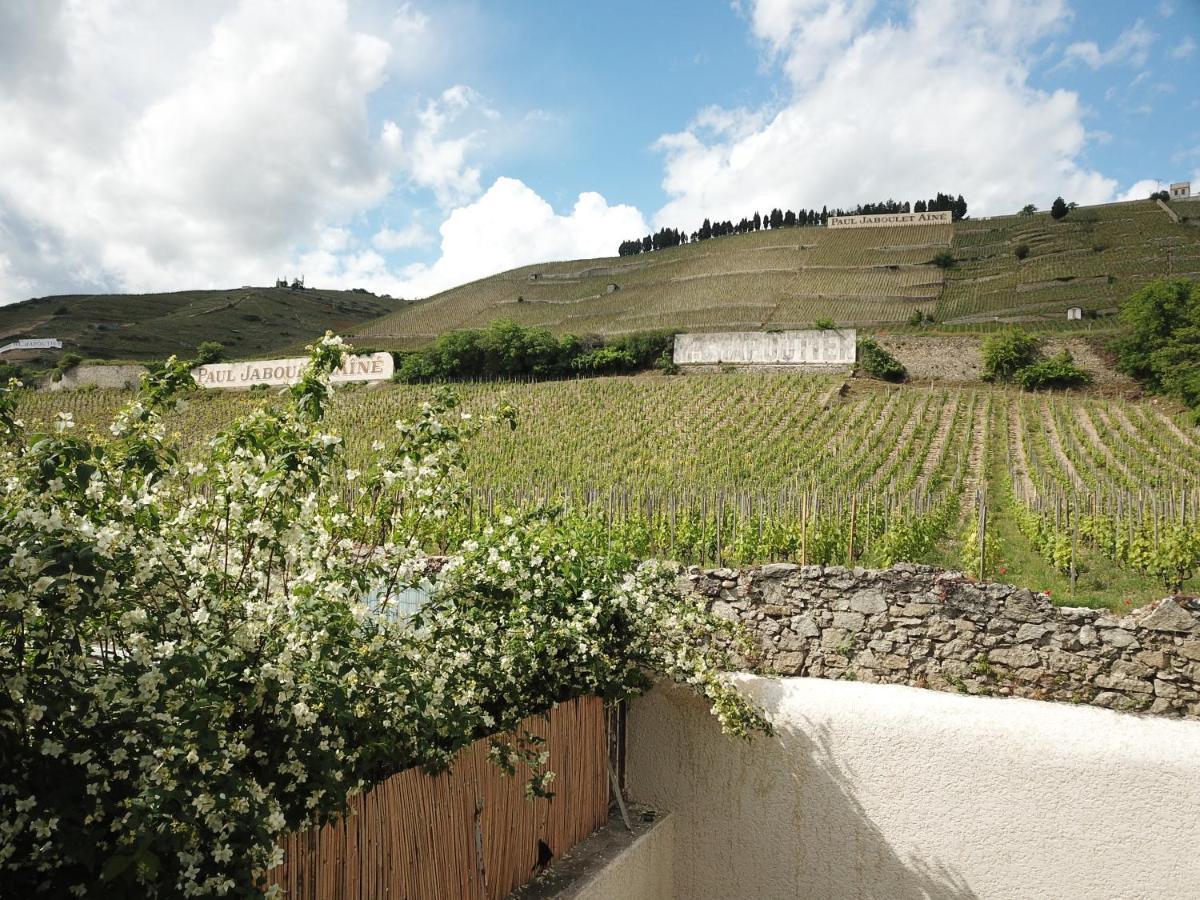 Le Pavillon De L'Hermitage - Spa Ouvert D'Avril A Octobre Tain-lʼHermitage Eksteriør billede